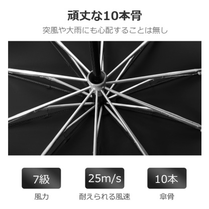 10本骨 折りたたみ傘