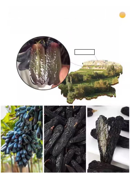 [The King of Raisins] Turpan Sapphire Raisins