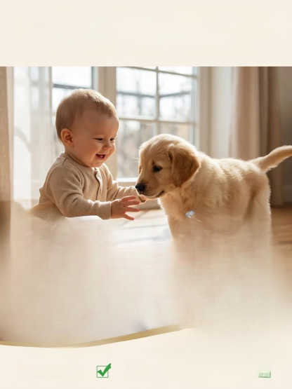 [Shine Brightly] Concentrated Formula Floor Cleaner