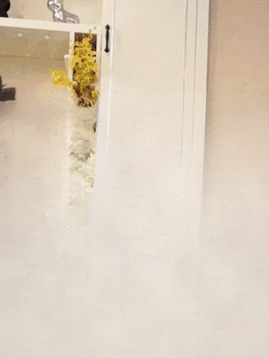 Adult and child anti suffocation and anti choking device