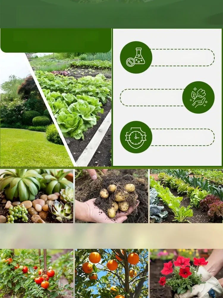 【Even After Death, It Can Live】Soil Nutrient Activator