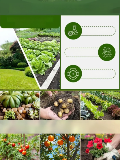 【Even After Death, It Can Live】Soil Nutrient Activator