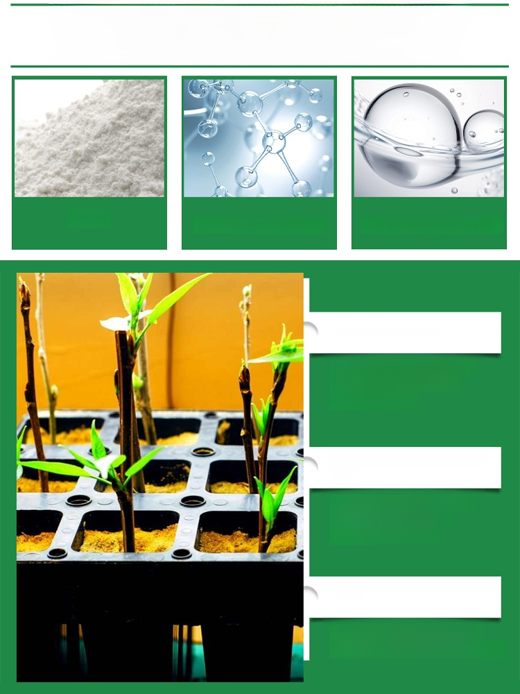 【Even After Death, It Can Live】Soil Nutrient Activator