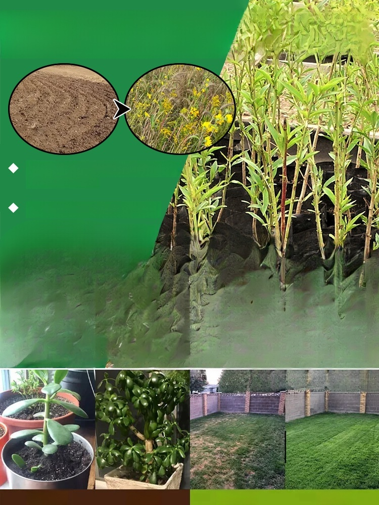 【Even After Death, It Can Live】Soil Nutrient Activator