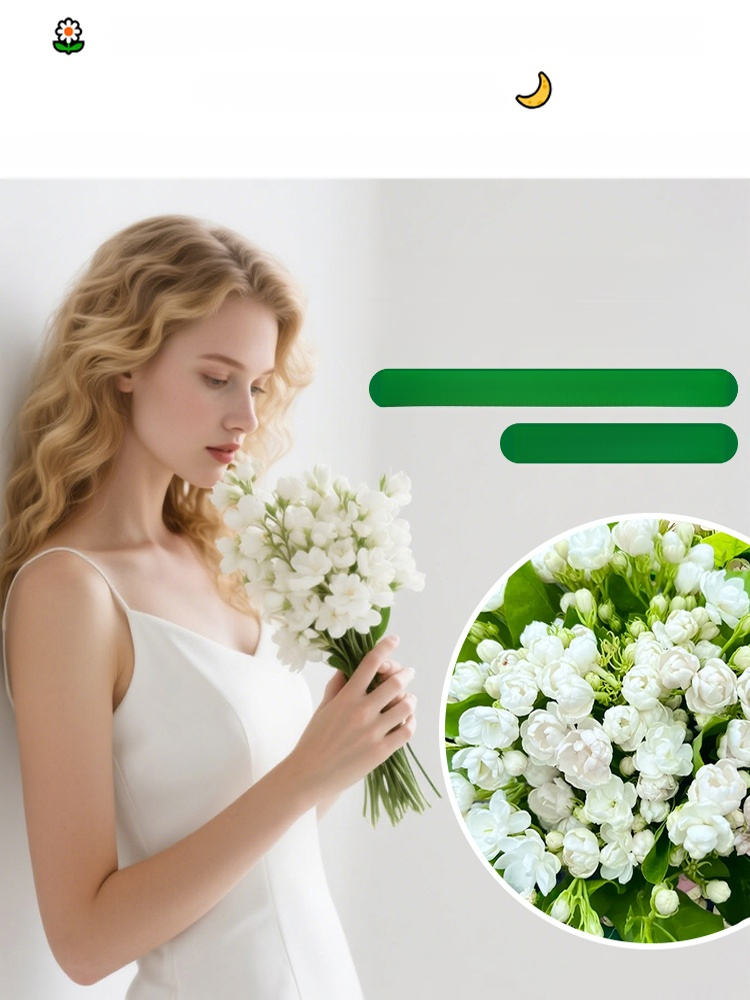 【Perfume of the Garden】Four Seasons Blooming Double-petaled Jasmine Seeds.The Fragrance Of Flowers Fills The Room And Purifies The Air