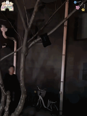 Solar-Powered Clip-On Light: 0 Electricity Cost, No Wiring, No Installation Required