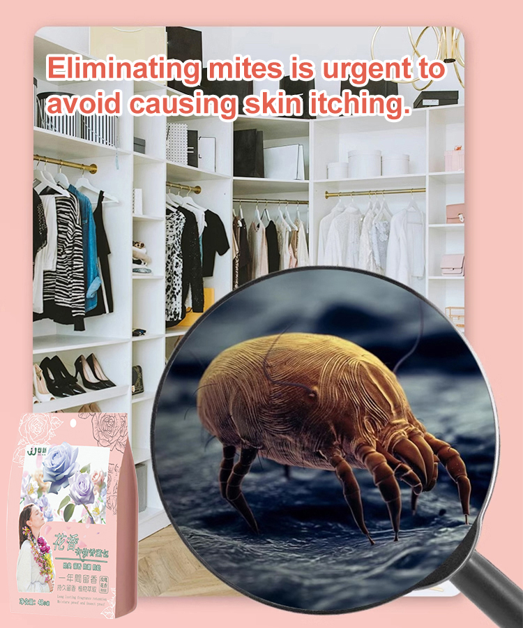 Insect repellent and mildew proof floral camphor balls