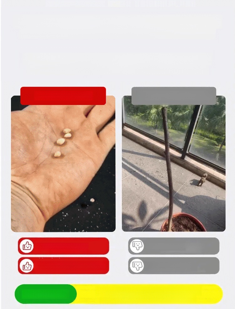 gif.gif