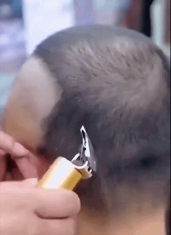 发器32025101110152611.gif