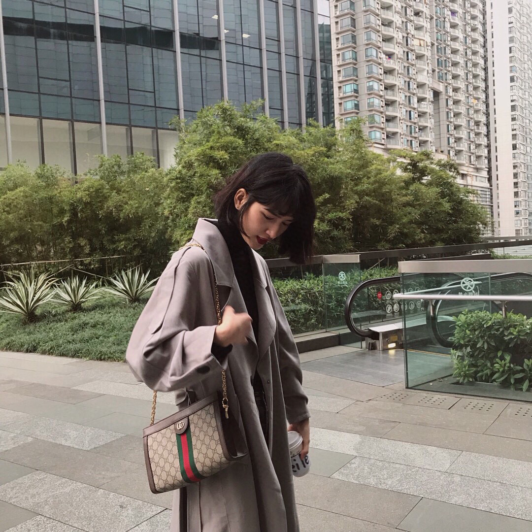 GUCCI 古馳 Ophidia系列 PVC防水布 貝殼包 復古款 鏈條包 斜背包 復古 503877 503876