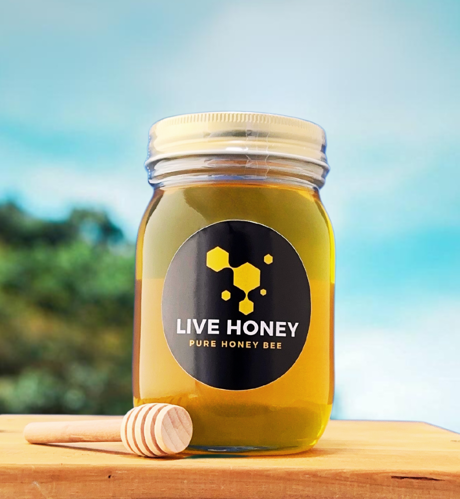 国産純粋ハチミツ Live Honey 500ml