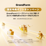 Grand Form グランドエアリバースマットレス