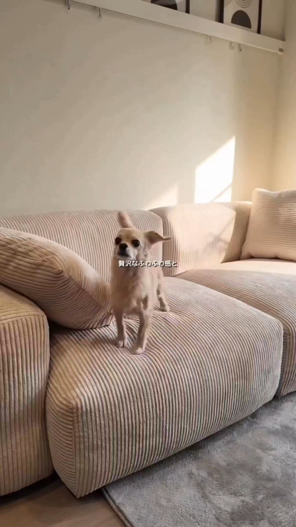 Woody Prime 6種の生地から選べる多層構造ナチュラルワイドソファ【カスタマイズ可】