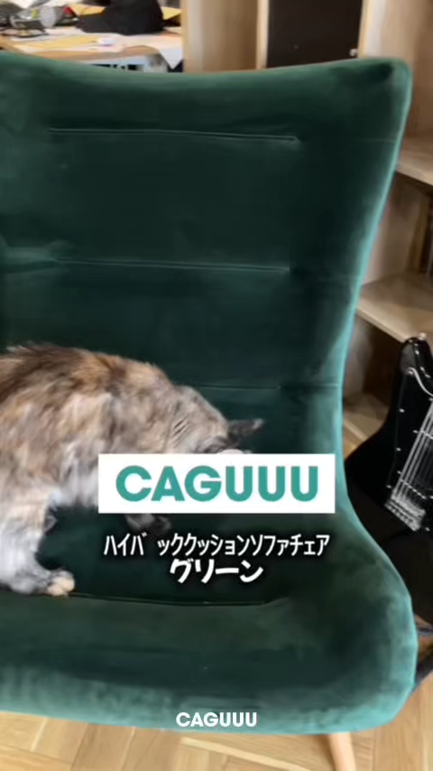 Woody Prime ハイバッククッションソファチェア