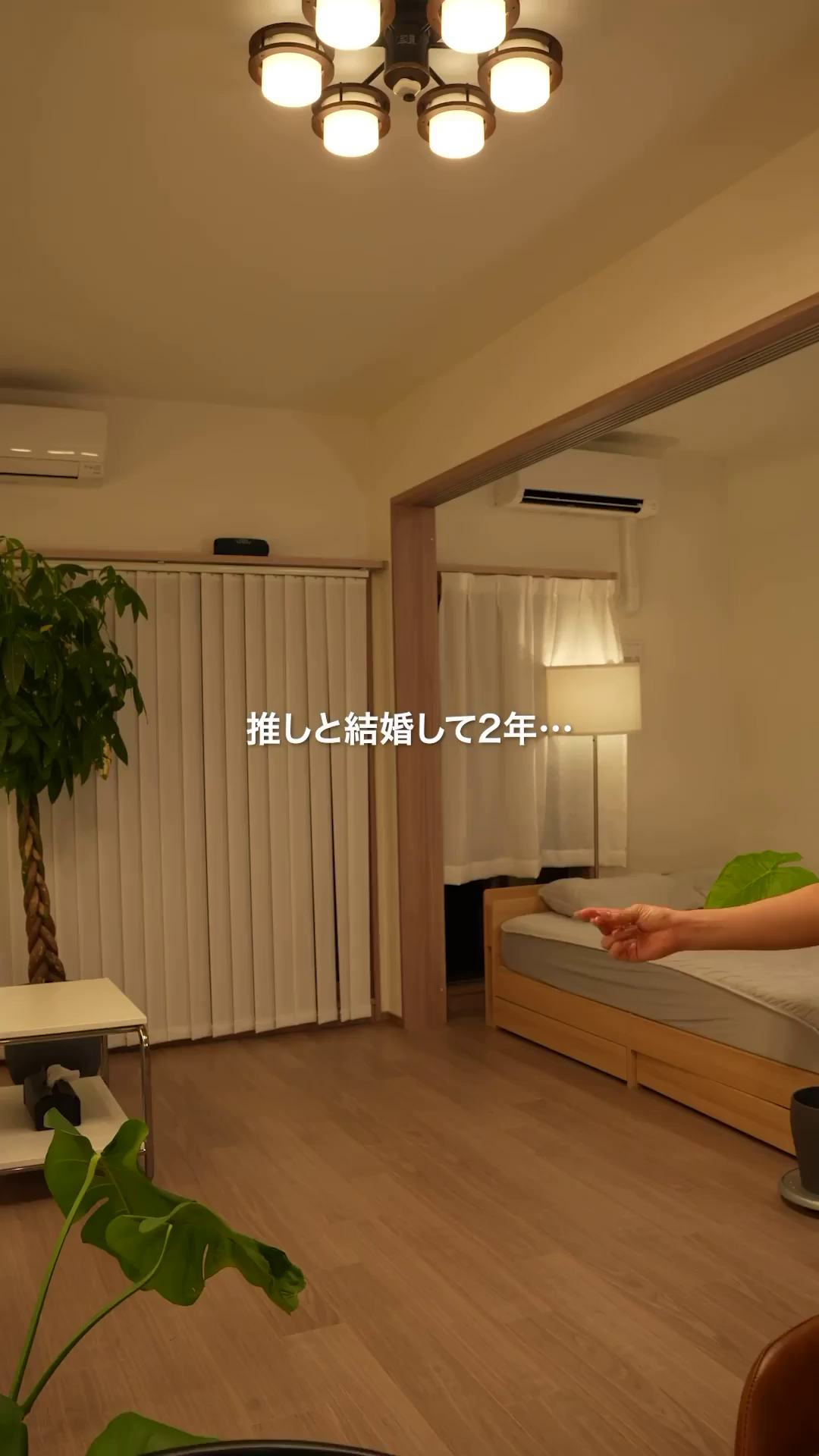 tz002410008-mone_gohan_