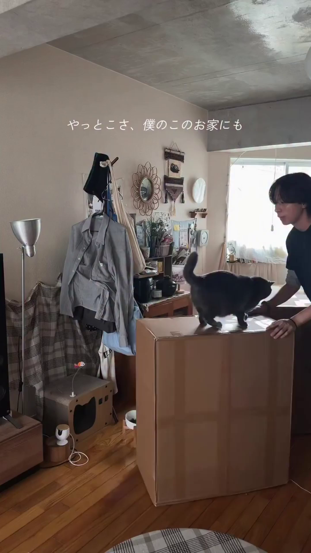 yj01260605001-oo_06kinn