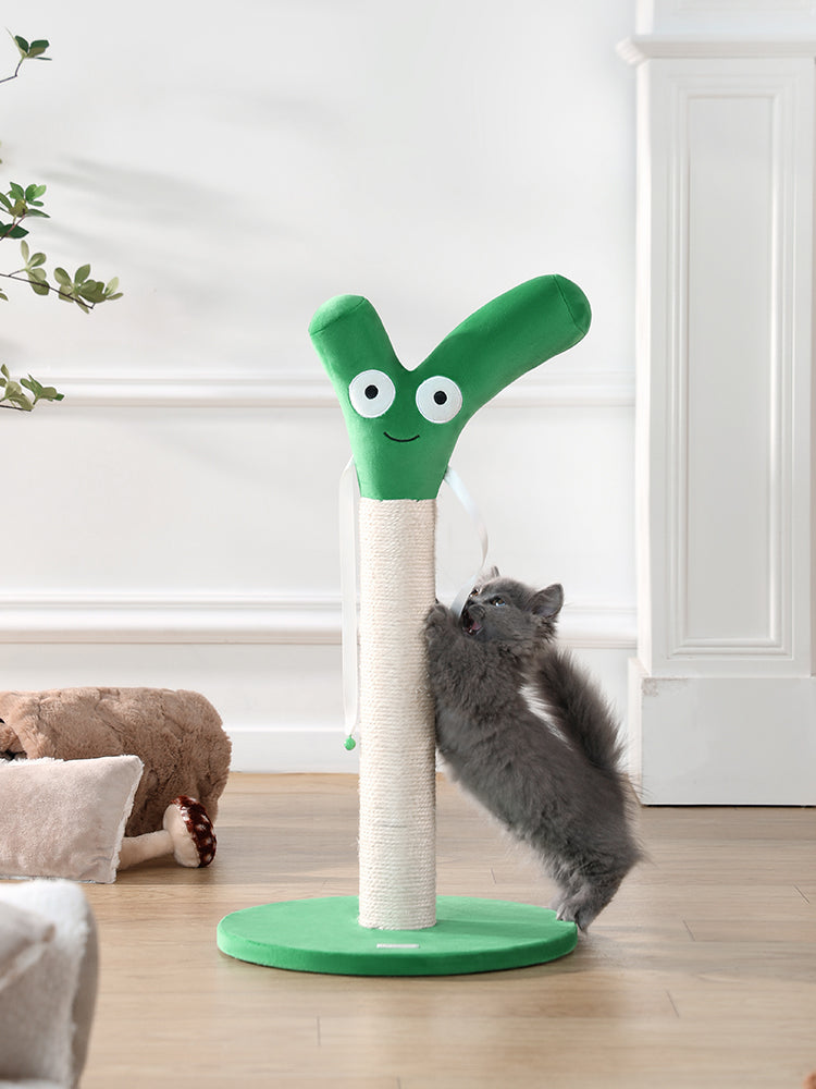 kermit様おまとめ専用出品 fit=scale-down,w=1200