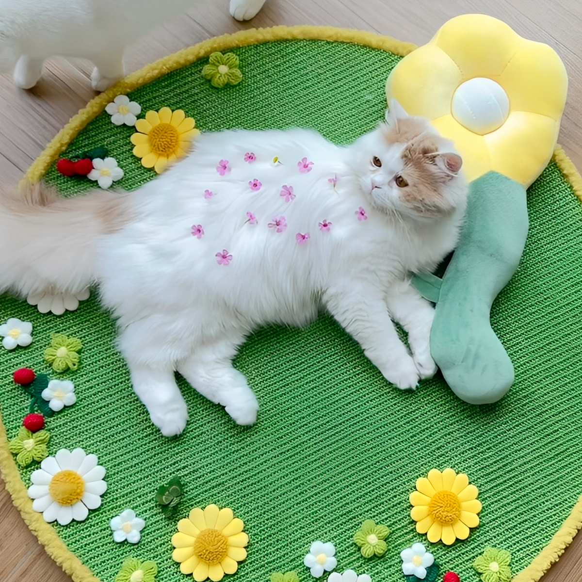 フラワーキャットトイ