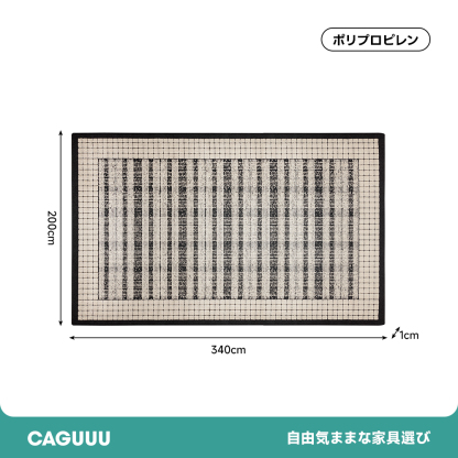 モノクロームラインラグ