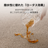 ナチュラルサンドラグ