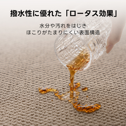 ナチュラルサンドラグ