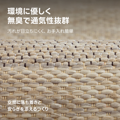 ナチュラルストライプラグ