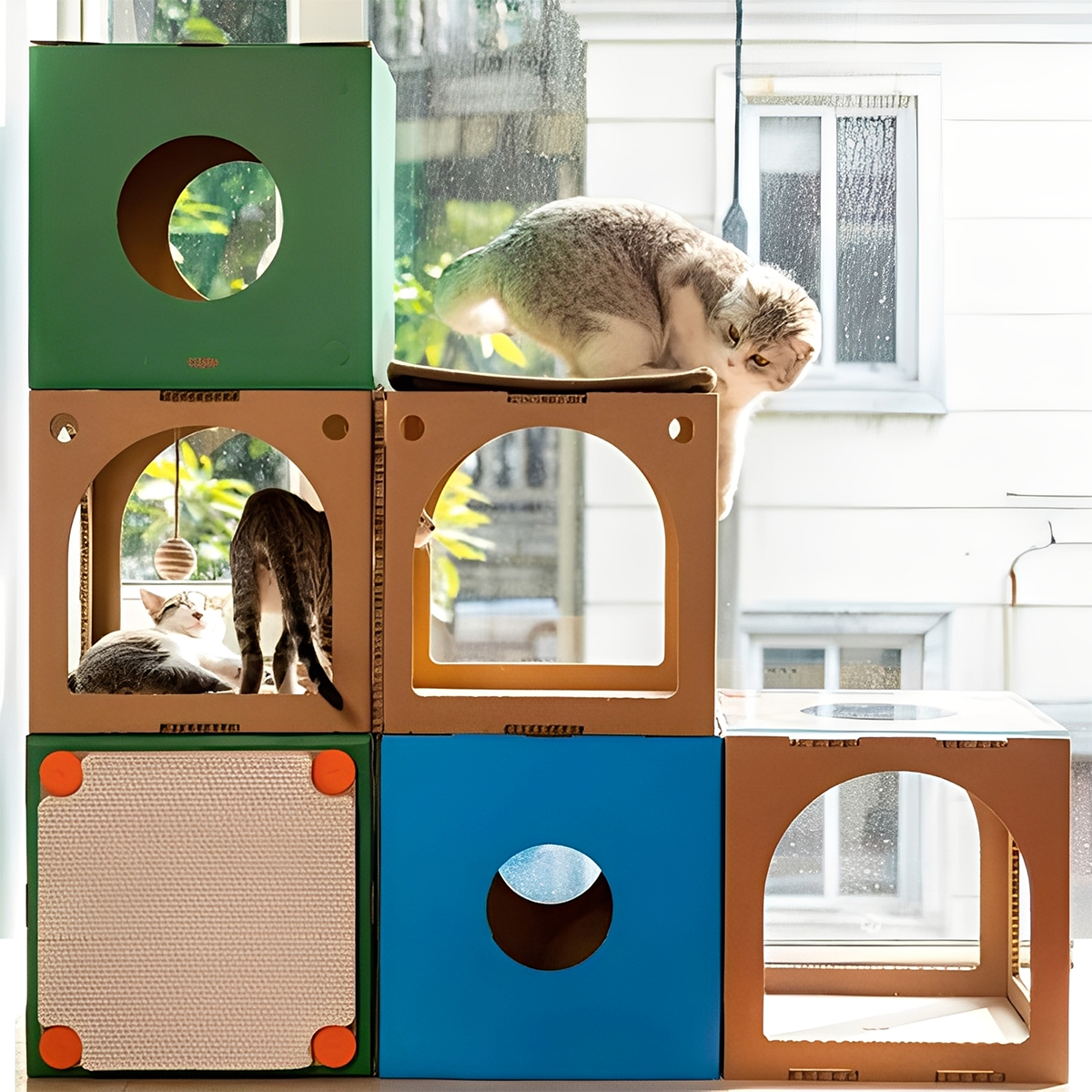 モジュールキャットスクエア