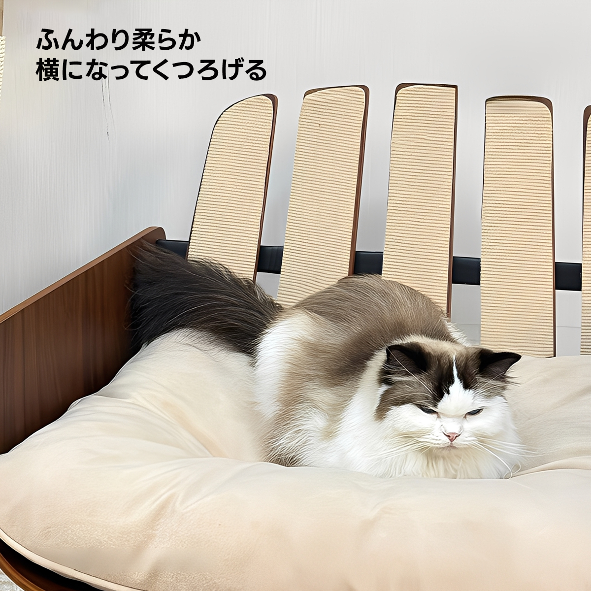 カーブウッドキャットソファ