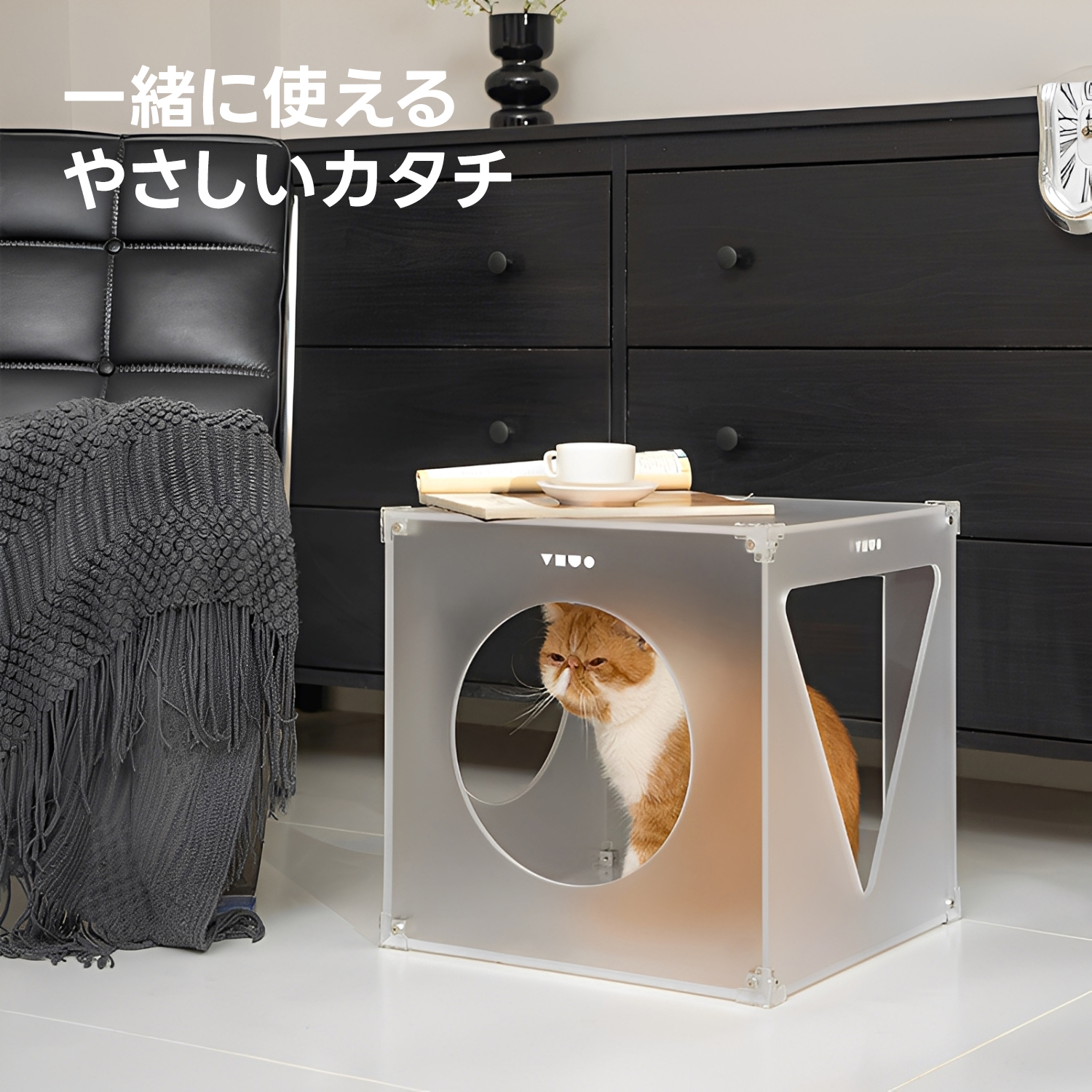 キャットプレイボックス