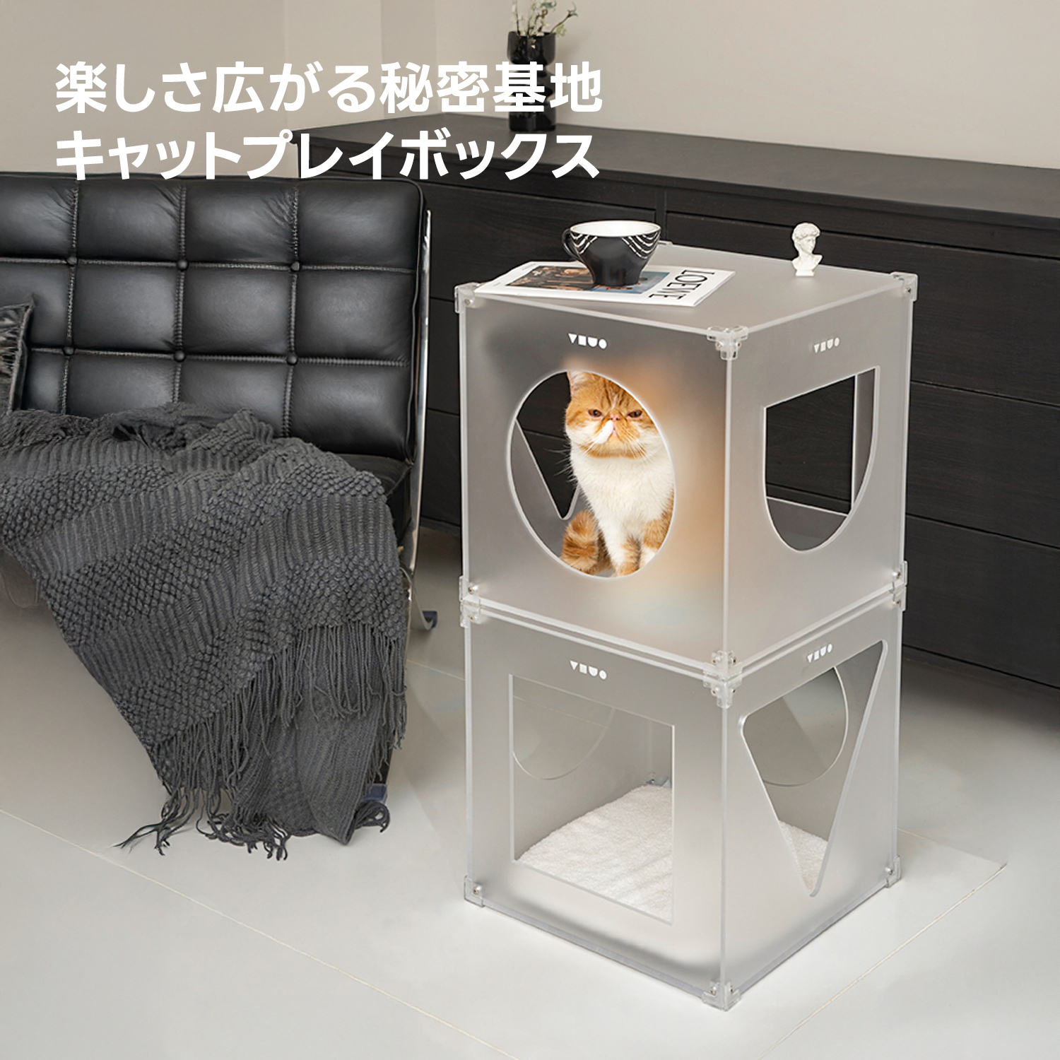 キャットプレイボックス