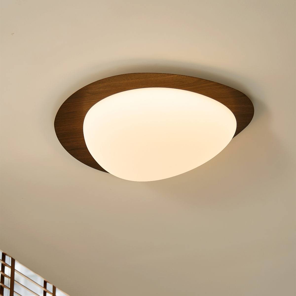 オーバルシーリングライト