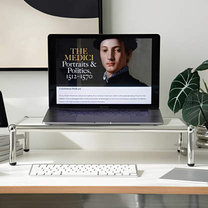 ステンレスモニタースタンド