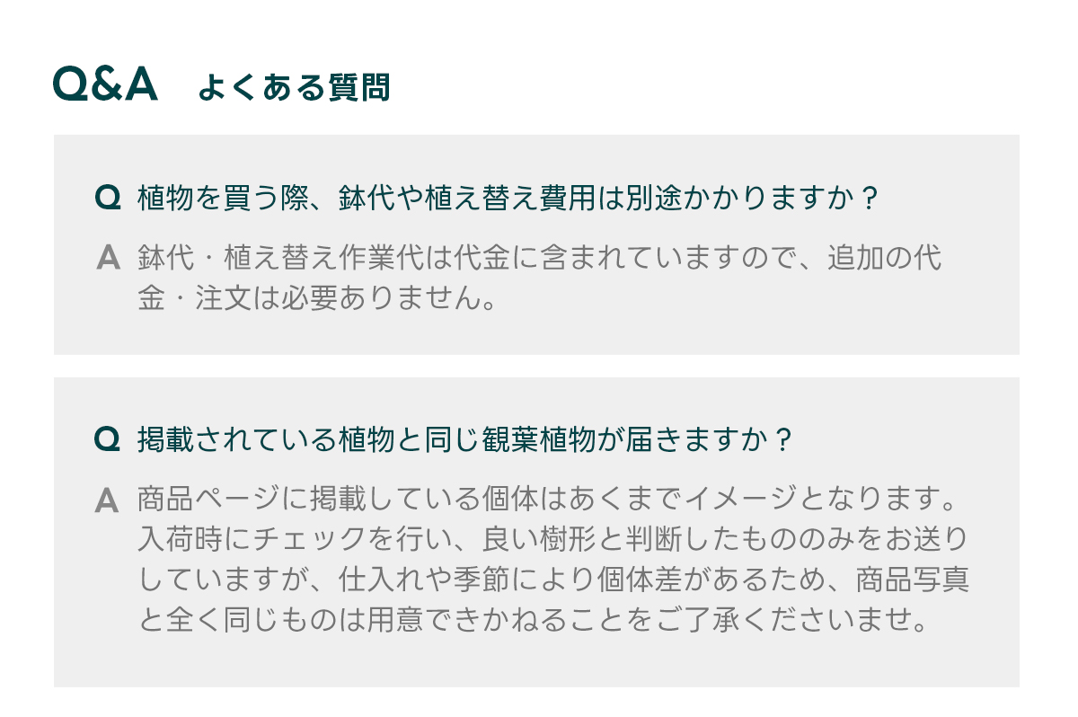 Q&Aよくある質問 Q 植物を買う際、鉢代や植え替え費用は別途かかりますか？  A 鉢代・植え替え作業代は代金に含まれていますので、追加の代金・注文は必要ありません。   Q 掲載されている植物と同じ観葉植物が届きますか？  A 商品ページに掲載している個体はあくまでイメージとなります。 入荷時にチェックを行い、良い樹形と判断したもののみをお送りしていますが、仕入れや季節により個体差があるため、商品写真と全く同じものは用意できかねることをご了承くださいませ。