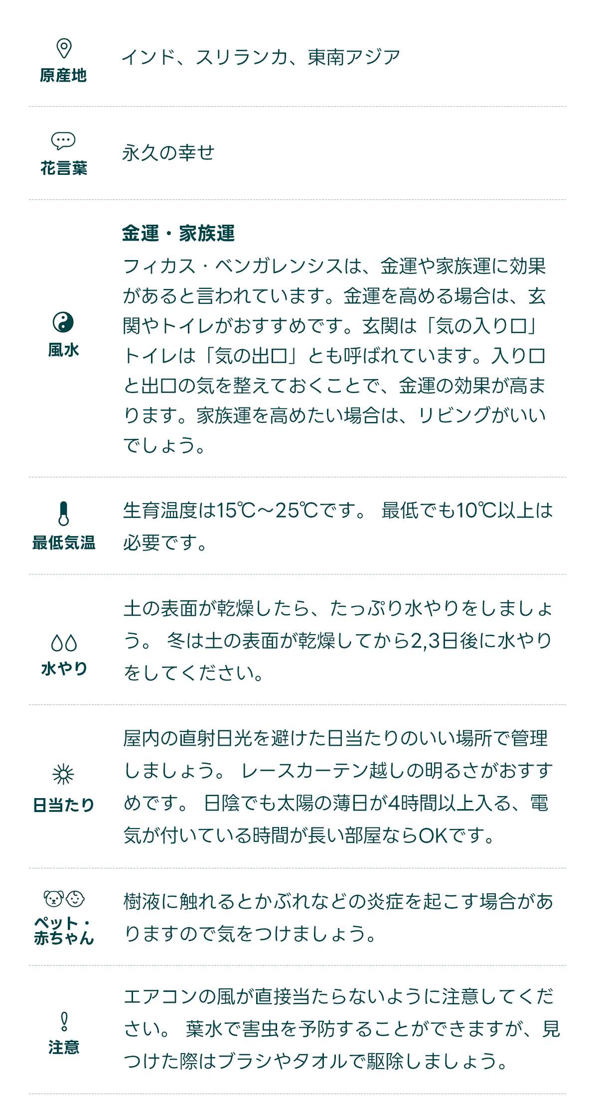  原産地 インド、スリランカ、東南アジア   花言葉 永久の幸せ   風水 金運・家族運 フィカス・ベンガレンシスは、金運や家族運に効果があると言われています。金運を高める場合は、玄関やトイレがおすすめです。玄関は「気の入り口」、トイレは「気の出口」とも呼ばれています。入り口と出口の気を整えておくことで、金運の効果が高まります。家族運を高めたい場合は、リビングがいいでしょう。   最低気温 生育温度は15℃〜25℃です。 最低でも10℃以上は必要です。   水やり 土の表面が乾燥したら、たっぷり水やりをしましょう。 冬は土の表面が乾燥してから2,3日後に水やりをしてください。   日当たり 屋内の直射日光を避けた日当たりのいい場所で管理しましょう。 レースカーテン越しの明るさがおすすめです。 日陰でも太陽の薄日が4時間以上入る、電気が付いている時間が長い部屋ならOKです。   ペット・ 赤ちゃん 樹液に触れるとかぶれなどの炎症を起こす場合がありますので気をつけましょう。   注意 エアコンの風が直接当たらないように注意してください。 葉水で害虫を予防することができますが、見つけた際はブラシやタオルで駆除しましょう。
