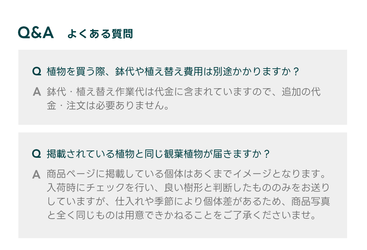Q&Aよくある質問 Q 植物を買う際、鉢代や植え替え費用は別途かかりますか？  A 鉢代・植え替え作業代は代金に含まれていますので、追加の代金・注文は必要ありません。   Q 掲載されている植物と同じ観葉植物が届きますか？  A 商品ページに掲載している個体はあくまでイメージとなります。 入荷時にチェックを行い、良い樹形と判断したもののみをお送りしていますが、仕入れや季節により個体差があるため、商品写真と全く同じものは用意できかねることをご了承くださいませ。