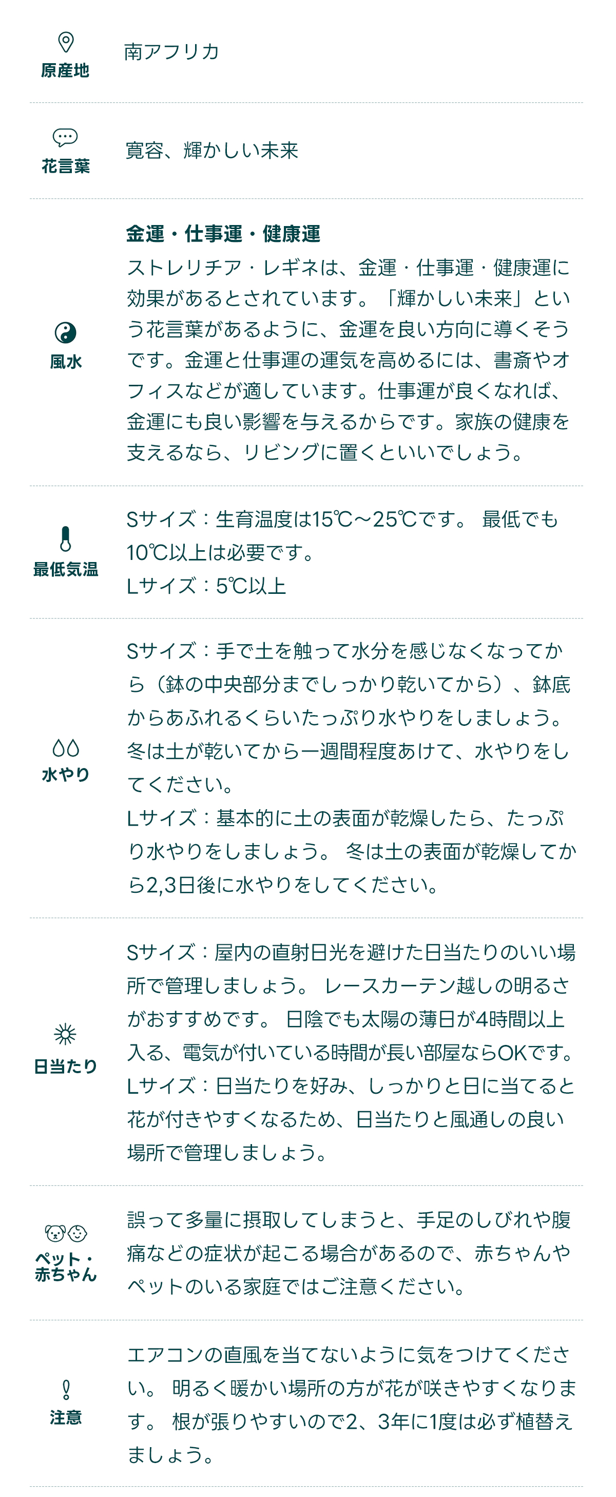 原産地 南アフリカ   花言葉 寛容、輝かしい未来   風水 金運・仕事運・健康運 ストレリチア・レギネは、金運・仕事運・健康運に効果があるとされています。「輝かしい未来」という花言葉があるように、金運を良い方向に導くそうです。金運と仕事運の運気を高めるには、書斎やオフィスなどが適しています。仕事運が良くなれば、金運にも良い影響を与えるからです。家族の健康を支えるなら、リビングに置くといいでしょう。   最低気温 Sサイズ：生育温度は15℃〜25℃です。 最低でも10℃以上は必要です。 Lサイズ：5℃以上   水やり Sサイズ：手で土を触って水分を感じなくなってから（鉢の中央部分までしっかり乾いてから）、鉢底からあふれるくらいたっぷり水やりをしましょう。 冬は土が乾いてから一週間程度あけて、水やりをしてください。 Lサイズ：基本的に土の表面が乾燥したら、たっぷり水やりをしましょう。 冬は土の表面が乾燥してから2,3日後に水やりをしてください。   日当たり Sサイズ：屋内の直射日光を避けた日当たりのいい場所で管理しましょう。 レースカーテン越しの明るさがおすすめです。 日陰でも太陽の薄日が4時間以上入る、電気が付いている時間が長い部屋ならOKです。 Lサイズ：日当たりを好み、しっかりと日に当てると花が付きやすくなるため、日当たりと風通しの良い場所で管理しましょう。   ペット・ 赤ちゃん 誤って多量に摂取してしまうと、手足のしびれや腹痛などの症状が起こる場合があるので、赤ちゃんやペットのいる家庭ではご注意ください。   注意 エアコンの直風を当てないように気をつけてください。 明るく暖かい場所の方が花が咲きやすくなります。 根が張りやすいので2、3年に1度は必ず植替えましょう。