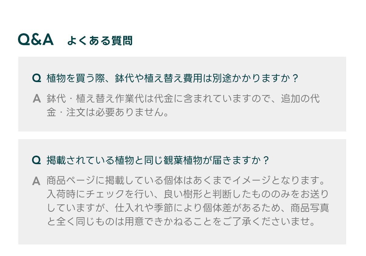 Q&Aよくある質問 Q 植物を買う際、鉢代や植え替え費用は別途かかりますか？  A 鉢代・植え替え作業代は代金に含まれていますので、追加の代金・注文は必要ありません。   Q 掲載されている植物と同じ観葉植物が届きますか？  A 商品ページに掲載している個体はあくまでイメージとなります。 入荷時にチェックを行い、良い樹形と判断したもののみをお送りしていますが、仕入れや季節により個体差があるため、商品写真と全く同じものは用意できかねることをご了承くださいませ。