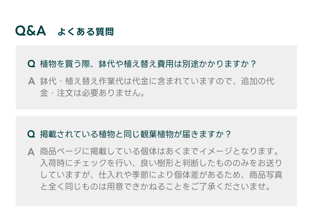  Q&Aよくある質問 Q 植物を買う際、鉢代や植え替え費用は別途かかりますか？  A 鉢代・植え替え作業代は代金に含まれていますので、追加の代金・注文は必要ありません。   Q 掲載されている植物と同じ観葉植物が届きますか？  A 商品ページに掲載している個体はあくまでイメージとなります。 入荷時にチェックを行い、良い樹形と判断したもののみをお送りしていますが、仕入れや季節により個体差があるため、商品写真と全く同じものは用意できかねることをご了承くださいませ。