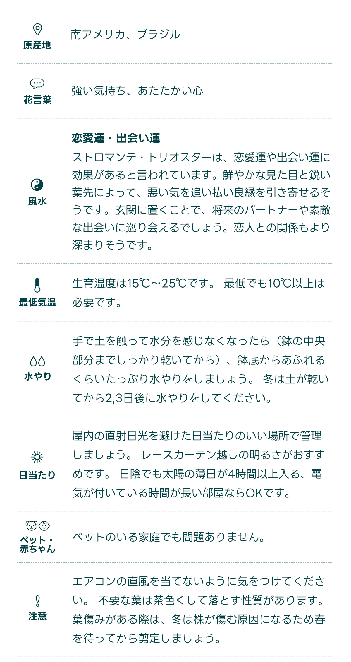 原産地 南アメリカ、ブラジル   花言葉 強い気持ち、あたたかい心   風水 恋愛運・出会い運  ストロマンテ・トリオスターは、恋愛運や出会い運に効果があると言われています。鮮やかな見た目と鋭い葉先によって、悪い気を追い払い良縁を引き寄せるそうです。玄関に置くことで、将来のパートナーや素敵な出会いに巡り会えるでしょう。恋人との関係もより深まりそうです。   最低気温 生育温度は15℃〜25℃です。 最低でも10℃以上は必要です。   水やり 手で土を触って水分を感じなくなったら（鉢の中央部分までしっかり乾いてから）、鉢底からあふれるくらいたっぷり水やりをしましょう。 冬は土が乾いてから2,3日後に水やりをしてください。   日当たり 屋内の直射日光を避けた日当たりのいい場所で管理しましょう。 レースカーテン越しの明るさがおすすめです。 日陰でも太陽の薄日が4時間以上入る、電気が付いている時間が長い部屋ならOKです。   ペット・ 赤ちゃん ペットのいる家庭でも問題ありません。   注意 エアコンの直風を当てないように気をつけてください。 不要な葉は茶色くして落とす性質があります。 葉傷みがある際は、冬は株が傷む原因になるため春を待ってから剪定しましょう。