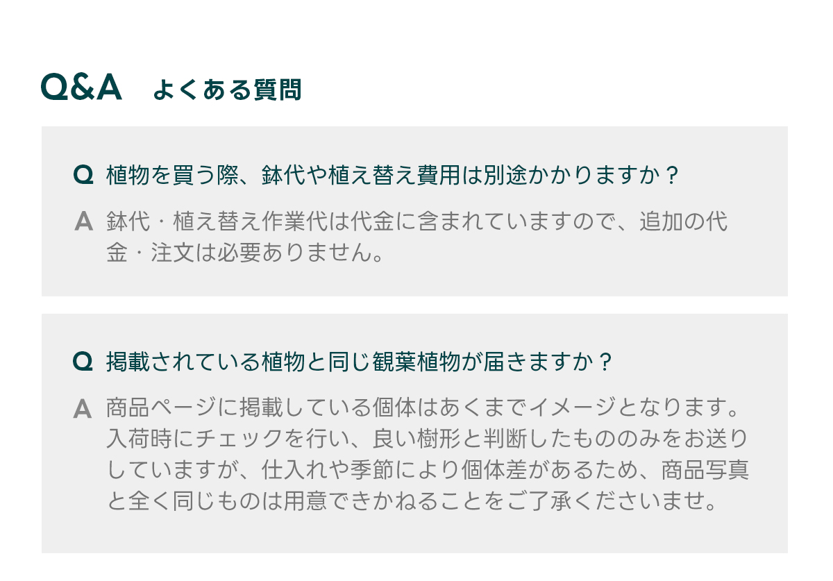 Q&Aよくある質問 Q 植物を買う際、鉢代や植え替え費用は別途かかりますか？  A 鉢代・植え替え作業代は代金に含まれていますので、追加の代金・注文は必要ありません。   Q 掲載されている植物と同じ観葉植物が届きますか？  A 商品ページに掲載している個体はあくまでイメージとなります。 入荷時にチェックを行い、良い樹形と判断したもののみをお送りしていますが、仕入れや季節により個体差があるため、商品写真と全く同じものは用意できかねることをご了承くださいませ。