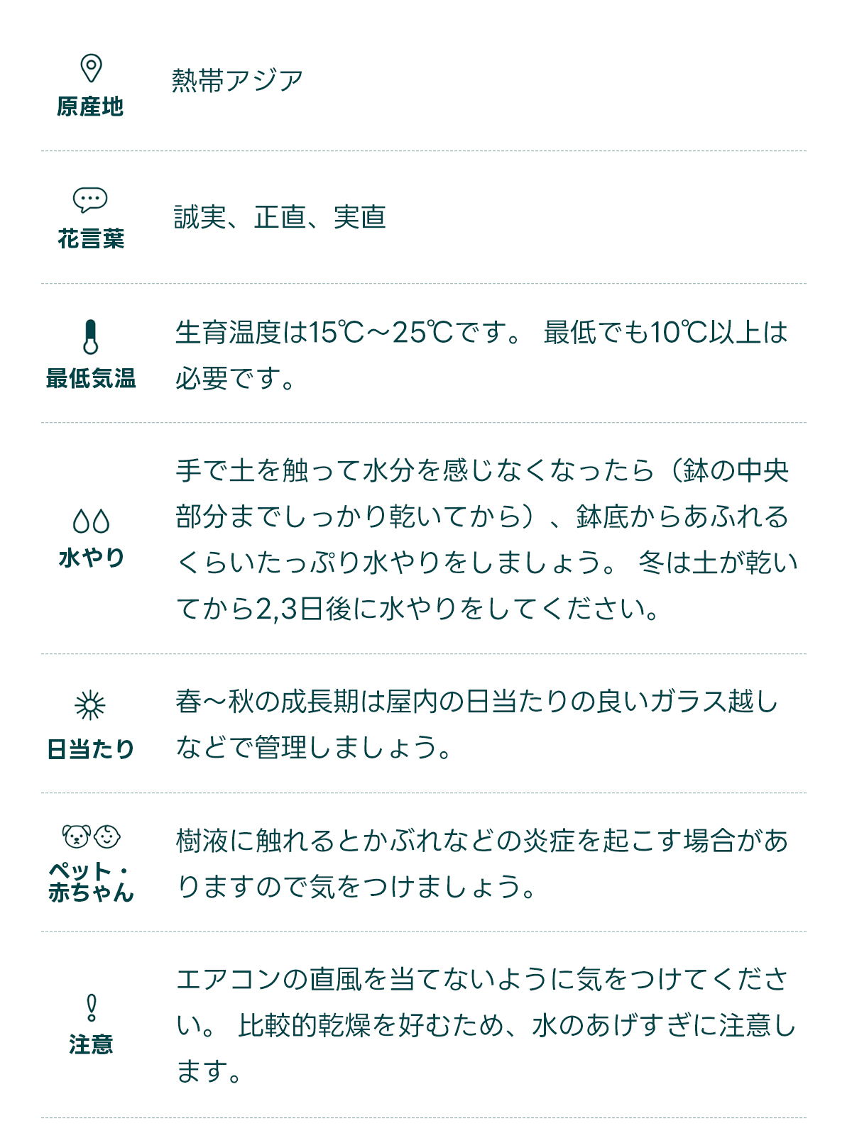 原産地 熱帯アジア   花言葉 誠実、正直、実直   最低気温 生育温度は15℃〜25℃です。 最低でも10℃以上は必要です。   水やり 手で土を触って水分を感じなくなったら（鉢の中央部分までしっかり乾いてから）、鉢底からあふれるくらいたっぷり水やりをしましょう。 冬は土が乾いてから2,3日後に水やりをしてください。   日当たり 春〜秋の成長期は屋内の日当たりの良いガラス越しなどで管理しましょう。   ペット・ 赤ちゃん 樹液に触れるとかぶれなどの炎症を起こす場合がありますので気をつけましょう。   注意 エアコンの直風を当てないように気をつけてください。 比較的乾燥を好むため、水のあげすぎに注意します。