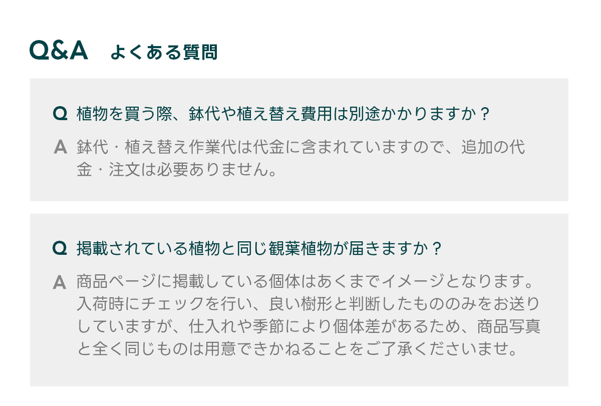Q&Aよくある質問 Q 植物を買う際、鉢代や植え替え費用は別途かかりますか？  A 鉢代・植え替え作業代は代金に含まれていますので、追加の代金・注文は必要ありません。   Q 掲載されている植物と同じ観葉植物が届きますか？  A 商品ページに掲載している個体はあくまでイメージとなります。 入荷時にチェックを行い、良い樹形と判断したもののみをお送りしていますが、仕入れや季節により個体差があるため、商品写真と全く同じものは用意できかねることをご了承くださいませ。