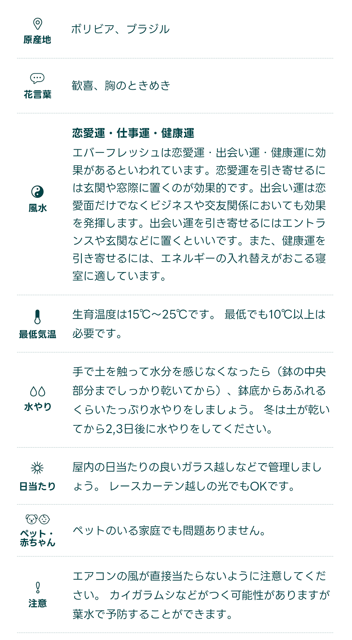  原産地 ボリビア、ブラジル   花言葉 歓喜、胸のときめき   風水 恋愛運・仕事運・健康運 エバーフレッシュは恋愛運・出会い運・健康運に効果があるといわれています。恋愛運を引き寄せるには玄関や窓際に置くのが効果的です。出会い運は恋愛面だけでなくビジネスや交友関係においても効果を発揮します。出会い運を引き寄せるにはエントランスや玄関などに置くといいです。また、健康運を引き寄せるには、エネルギーの入れ替えがおこる寝室に適しています。   最低気温 生育温度は15℃〜25℃です。 最低でも10℃以上は必要です。   水やり 手で土を触って水分を感じなくなったら（鉢の中央部分までしっかり乾いてから）、鉢底からあふれるくらいたっぷり水やりをしましょう。 冬は土が乾いてから2,3日後に水やりをしてください。   日当たり 屋内の日当たりの良いガラス越しなどで管理しましょう。 レースカーテン越しの光でもOKです。   ペット・ 赤ちゃん ペットのいる家庭でも問題ありません。   注意 エアコンの風が直接当たらないように注意してください。 カイガラムシなどがつく可能性がありますが、葉水で予防することができます。