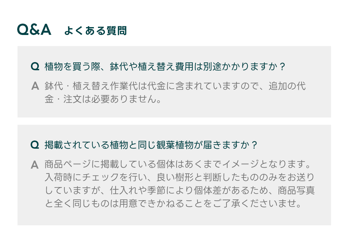 Q&Aよくある質問 Q 植物を買う際、鉢代や植え替え費用は別途かかりますか？  A 鉢代・植え替え作業代は代金に含まれていますので、追加の代金・注文は必要ありません。   Q 掲載されている植物と同じ観葉植物が届きますか？  A 商品ページに掲載している個体はあくまでイメージとなります。 入荷時にチェックを行い、良い樹形と判断したもののみをお送りしていますが、仕入れや季節により個体差があるため、商品写真と全く同じものは用意できかねることをご了承くださいませ。
