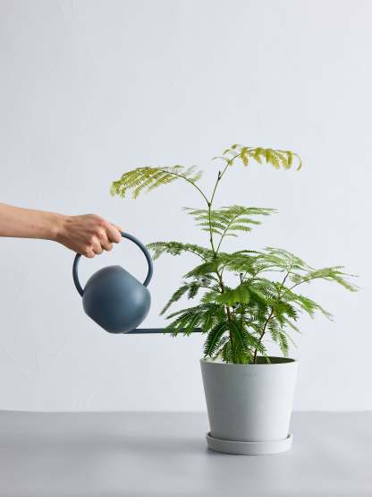 エバーフレッシュ