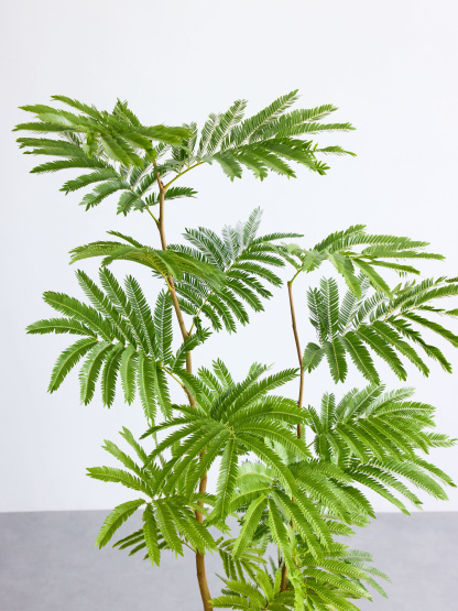 エバーフレッシュ