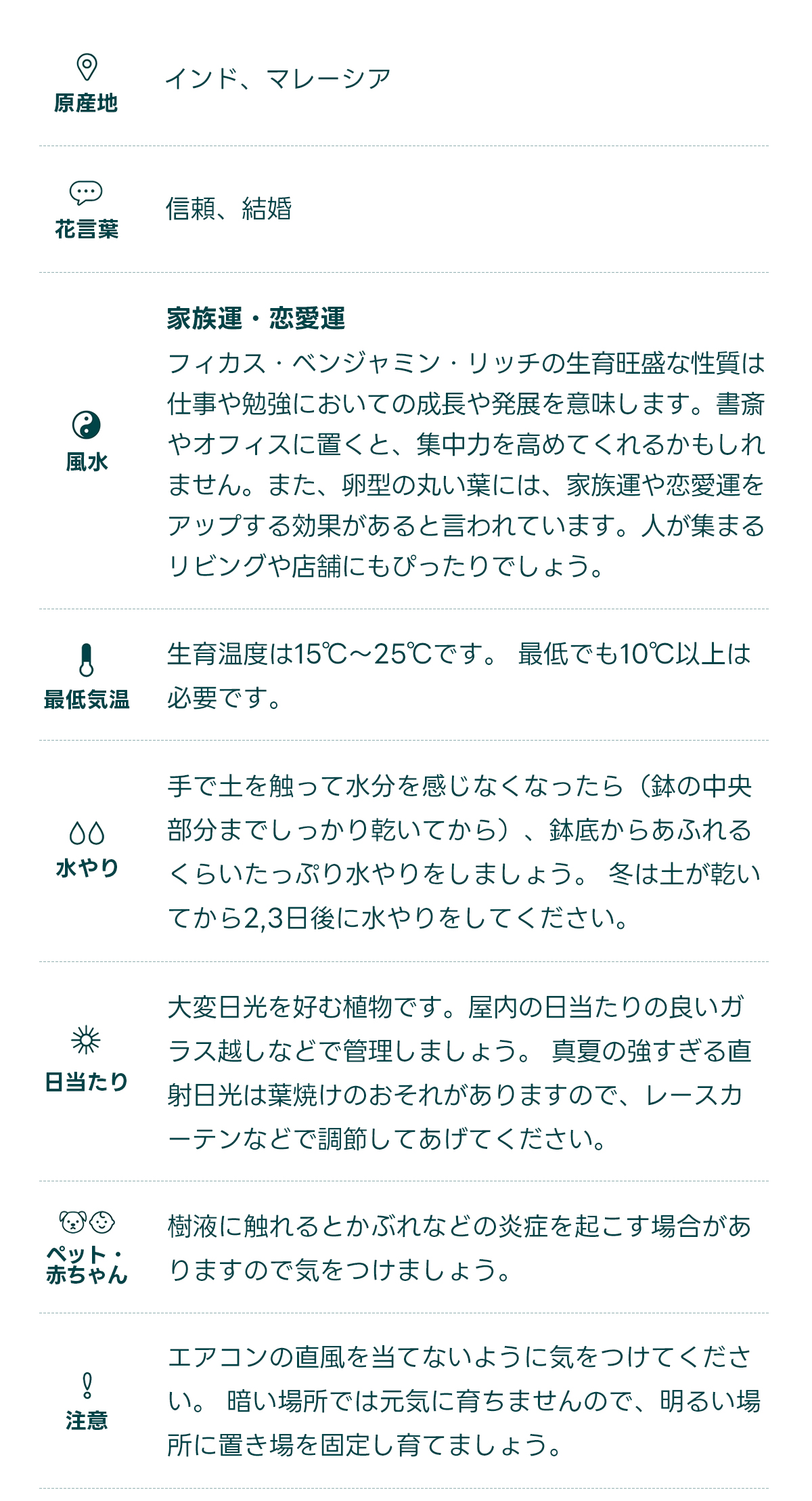 原産地 インド、マレーシア   花言葉 信頼、結婚   風水 家族運・恋愛運 フィカス・ベンジャミン・リッチの生育旺盛な性質は、仕事や勉強においての成長や発展を意味します。書斎やオフィスに置くと、集中力を高めてくれるかもしれません。また、卵型の丸い葉には、家族運や恋愛運をアップする効果があると言われています。人が集まるリビングや店舗にもぴったりでしょう。   最低気温 生育温度は15℃〜25℃です。 最低でも10℃以上は必要です。   水やり 手で土を触って水分を感じなくなったら（鉢の中央部分までしっかり乾いてから）、鉢底からあふれるくらいたっぷり水やりをしましょう。 冬は土が乾いてから2,3日後に水やりをしてください。   日当たり 大変日光を好む植物です。屋内の日当たりの良いガラス越しなどで管理しましょう。 真夏の強すぎる直射日光は葉焼けのおそれがありますので、レースカーテンなどで調節してあげてください。   ペット・ 赤ちゃん 樹液に触れるとかぶれなどの炎症を起こす場合がありますので気をつけましょう。   注意 エアコンの直風を当てないように気をつけてください。 暗い場所では元気に育ちませんので、明るい場所に置き場を固定し育てましょう。