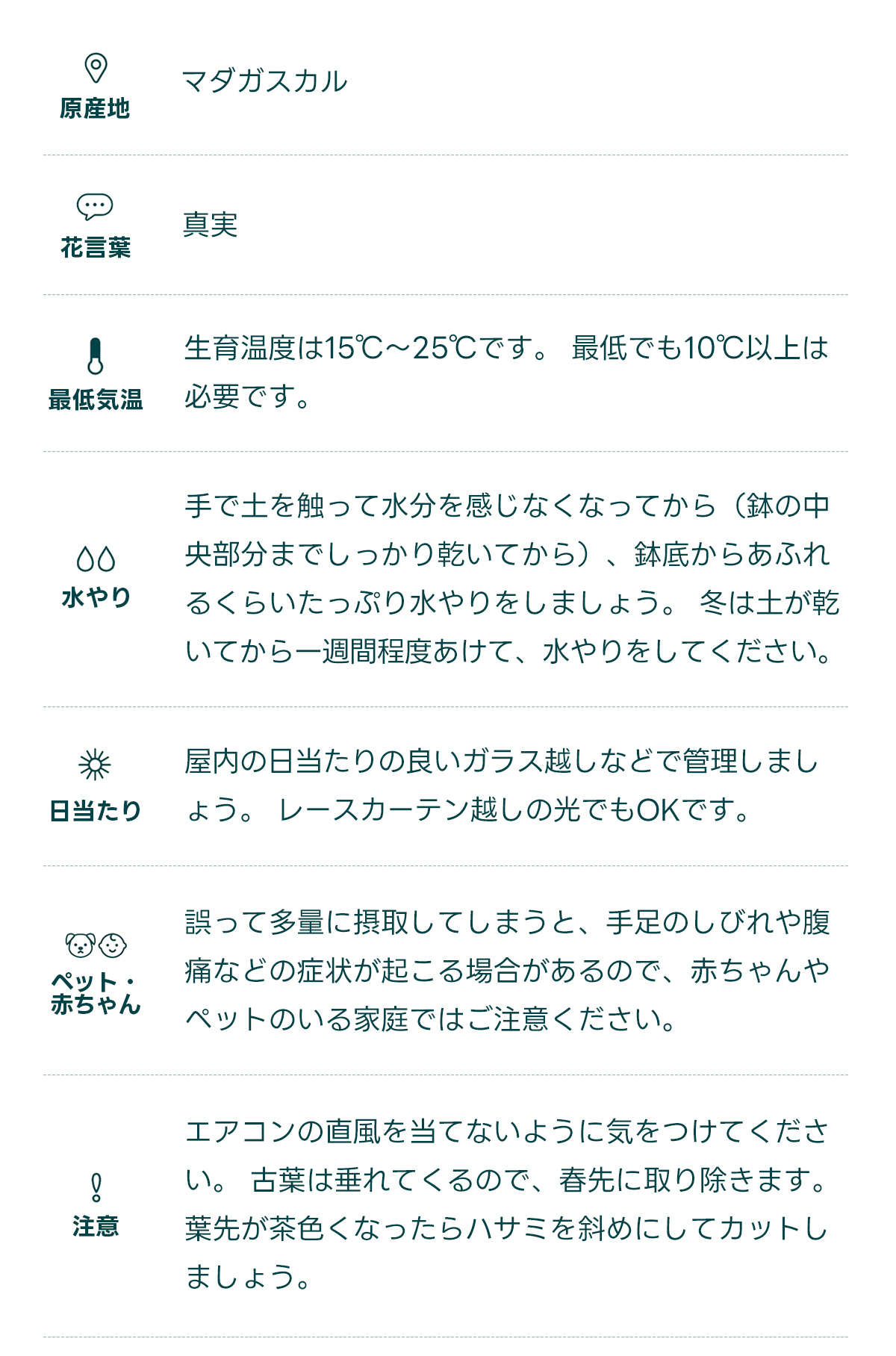  原産地 マダガスカル   花言葉 真実   最低気温 生育温度は15℃〜25℃です。 最低でも10℃以上は必要です。   水やり 手で土を触って水分を感じなくなってから（鉢の中央部分までしっかり乾いてから）、鉢底からあふれるくらいたっぷり水やりをしましょう。 冬は土が乾いてから一週間程度あけて、水やりをしてください。   日当たり 屋内の日当たりの良いガラス越しなどで管理しましょう。 レースカーテン越しの光でもOKです。   ペット・ 赤ちゃん 誤って多量に摂取してしまうと、手足のしびれや腹痛などの症状が起こる場合があるので、赤ちゃんやペットのいる家庭ではご注意ください。   注意 エアコンの直風を当てないように気をつけてください。 古葉は垂れてくるので、春先に取り除きます。 葉先が茶色くなったらハサミを斜めにしてカットしましょう。