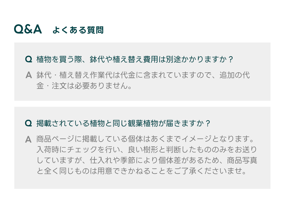  Q&Aよくある質問 Q 植物を買う際、鉢代や植え替え費用は別途かかりますか？  A 鉢代・植え替え作業代は代金に含まれていますので、追加の代金・注文は必要ありません。   Q 掲載されている植物と同じ観葉植物が届きますか？  A 商品ページに掲載している個体はあくまでイメージとなります。 入荷時にチェックを行い、良い樹形と判断したもののみをお送りしていますが、仕入れや季節により個体差があるため、商品写真と全く同じものは用意できかねることをご了承くださいませ。