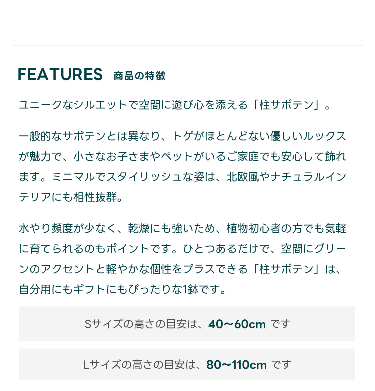 FEATURES商品の特徴 ユニークなシルエットで空間に遊び心を添える「柱サボテン」。  一般的なサボテンとは異なり、トゲがほとんどない優しいルックスが魅力で、小さなお子さまやペットがいるご家庭でも安心して飾れます。ミニマルでスタイリッシュな姿は、北欧風やナチュラルインテリアにも相性抜群。  水やり頻度が少なく、乾燥にも強いため、植物初心者の方でも気軽に育てられるのもポイントです。ひとつあるだけで、空間にグリーンのアクセントと軽やかな個性をプラスできる「柱サボテン」は、自分用にもギフトにもぴったりな1鉢です。  Sサイズの高さの目安は、40〜60cm です Lサイズの高さの目安は、80〜110cm です